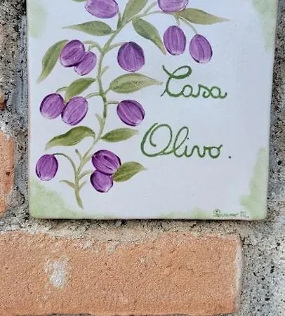 Il Poggio *