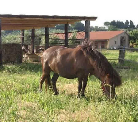 Il Poggio Casale Marittimo