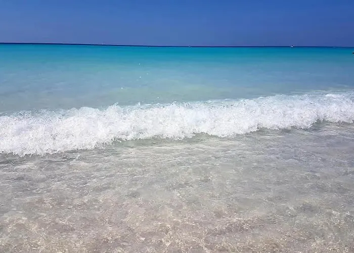 Il Poggio *